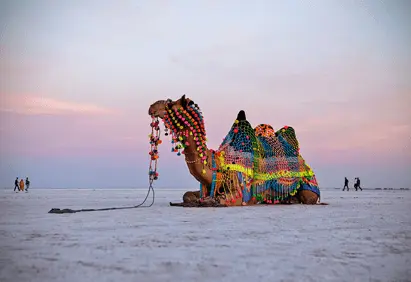 Rann of Kutch customized trip from Mumbai