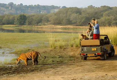 Ranthambore customized trip from Mumbai