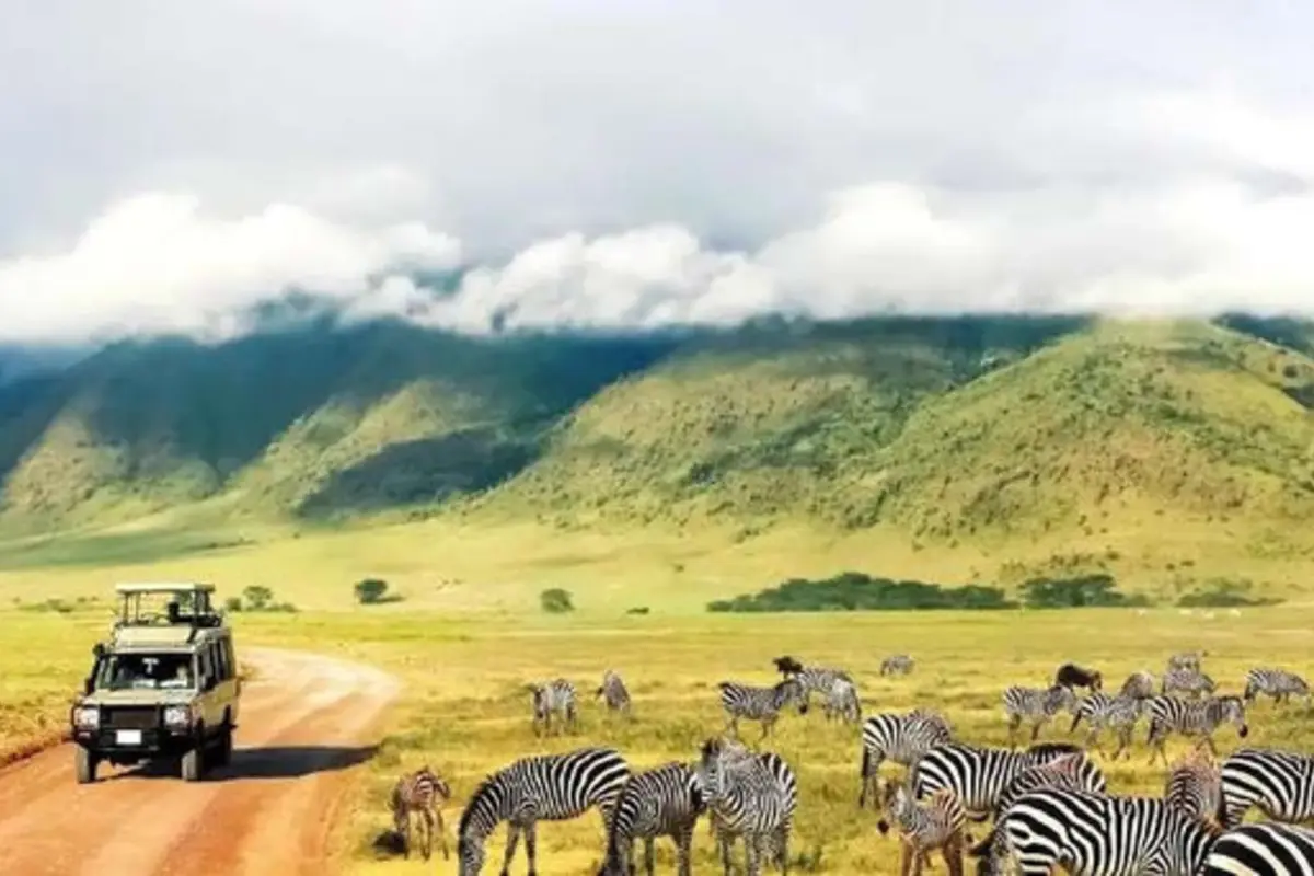 Tanzania Northern Circuit Safari travel inspiration